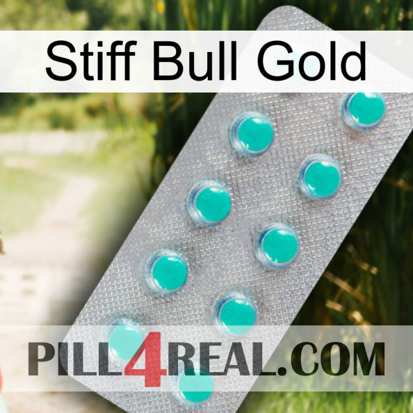 Stiff Bull Gold 28.jpg